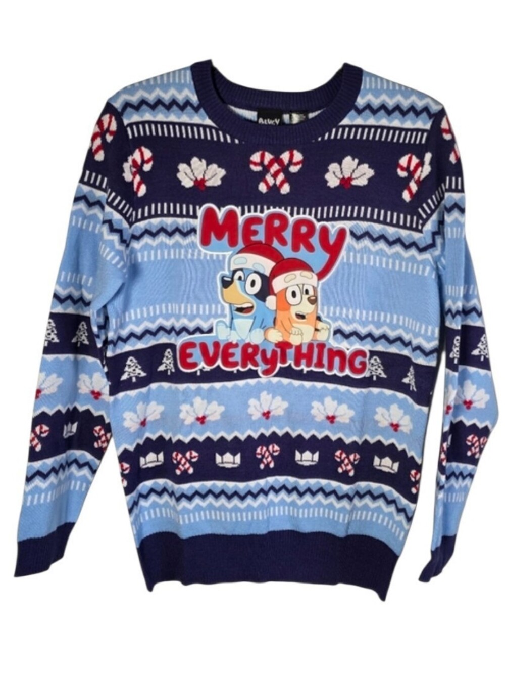 Bluey Merry Everything Ugly Christmas Sweater Holiday Knit Cartoon Pullover XXL